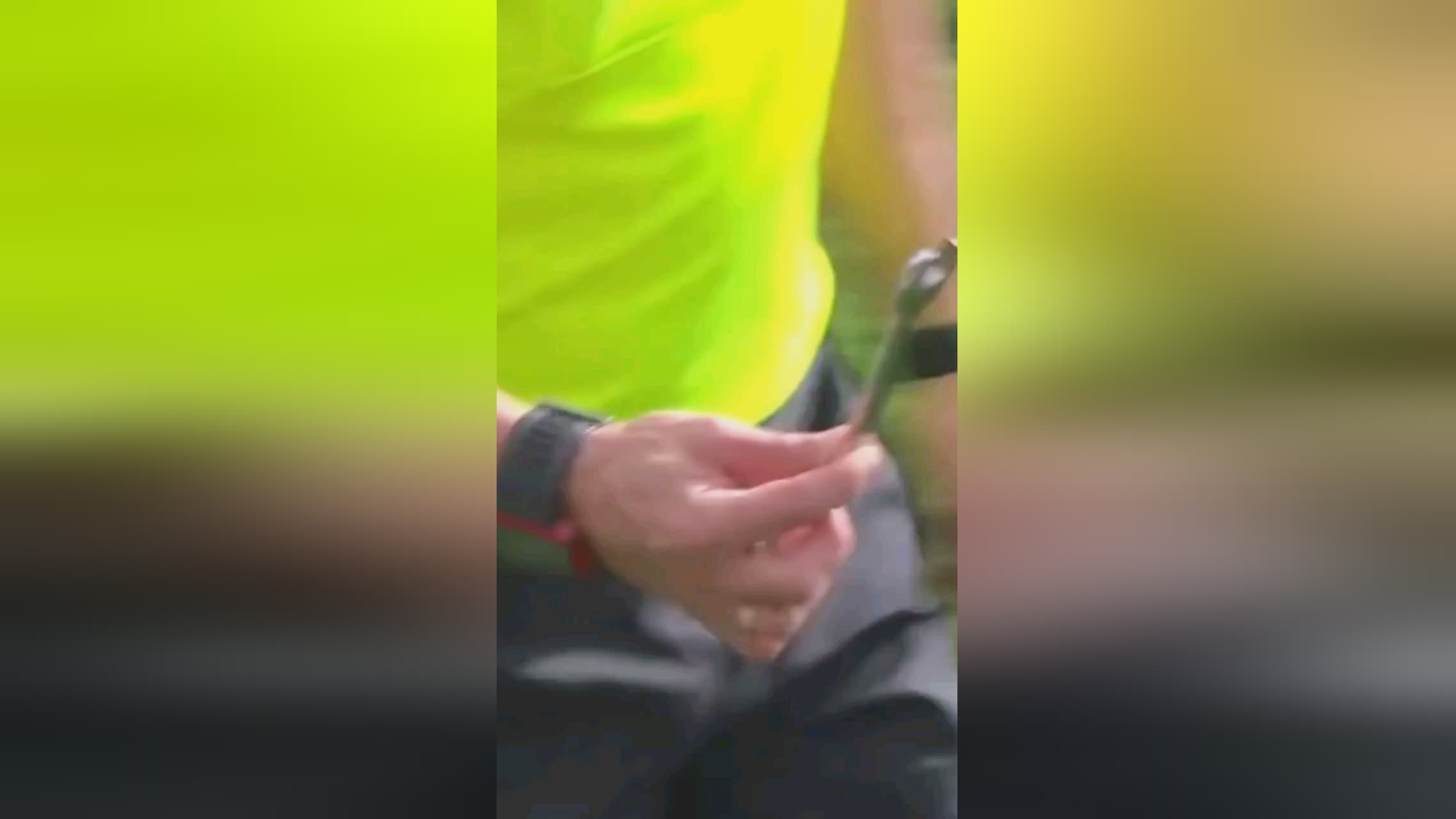 前荷兰